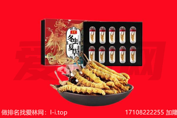 亳州回收虫草.jpg